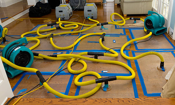 Professional Water Extraction technician working in Huntsville, UT